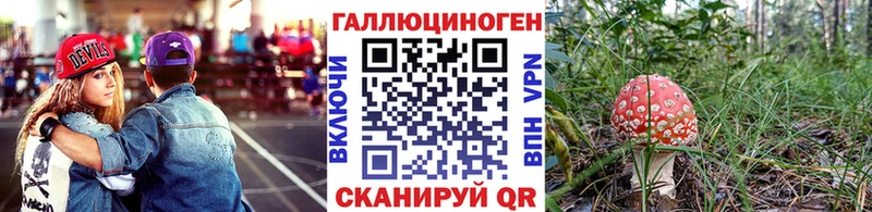 продажа наркотиков  Туапсе  Псилоцибиновые грибы GOLDEN TEACHER 